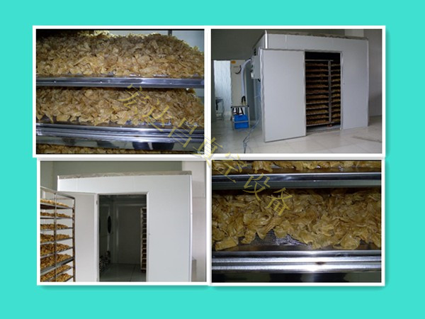 腐竹烘干房與食品烘干房技術(shù)解析 大昌真空設(shè)備的創(chuàng)新與貢獻(xiàn)